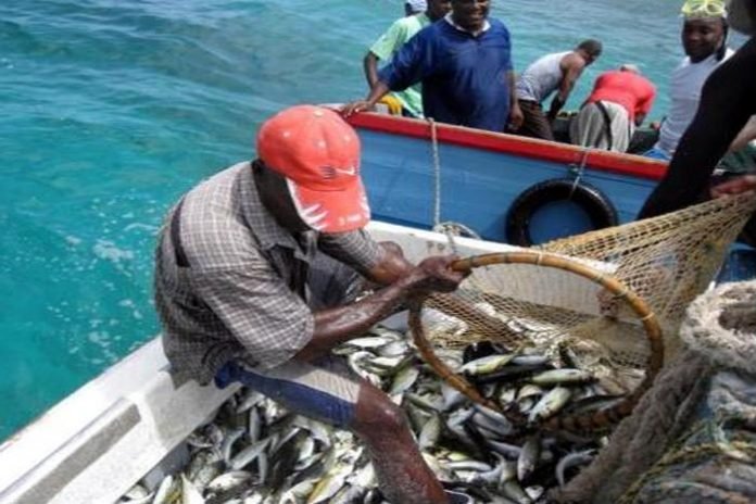 Fishermen project annual 51% loss in profit due to poaching