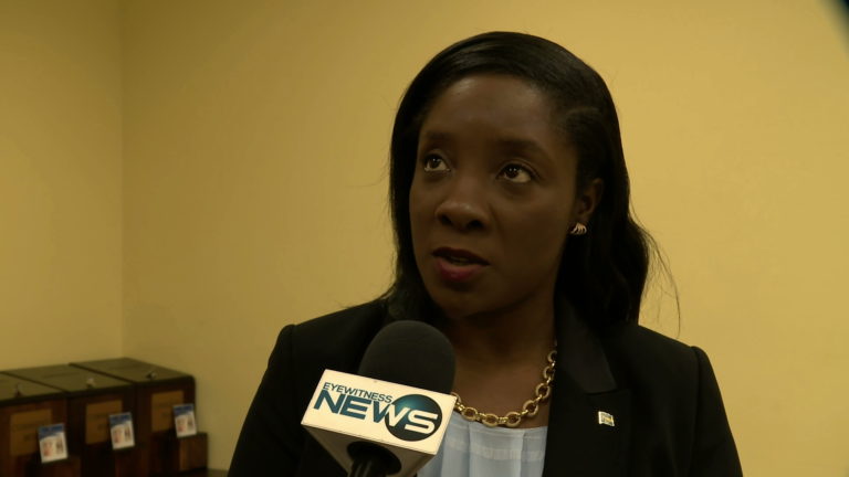 Lanisha Rolle: Budget cuts are “justifiable”