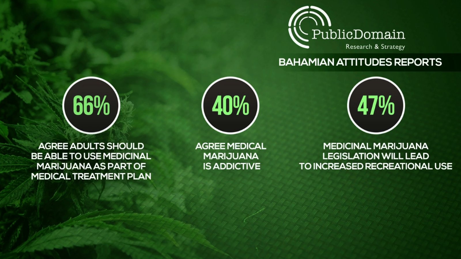 Bahamians support “lighting up”