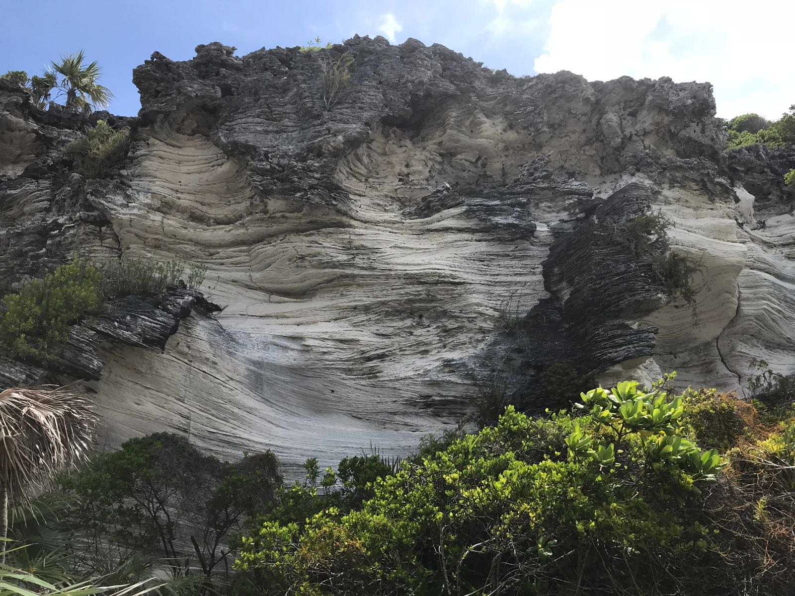Environmentalists appalled by Lighthouse Point proposed sale