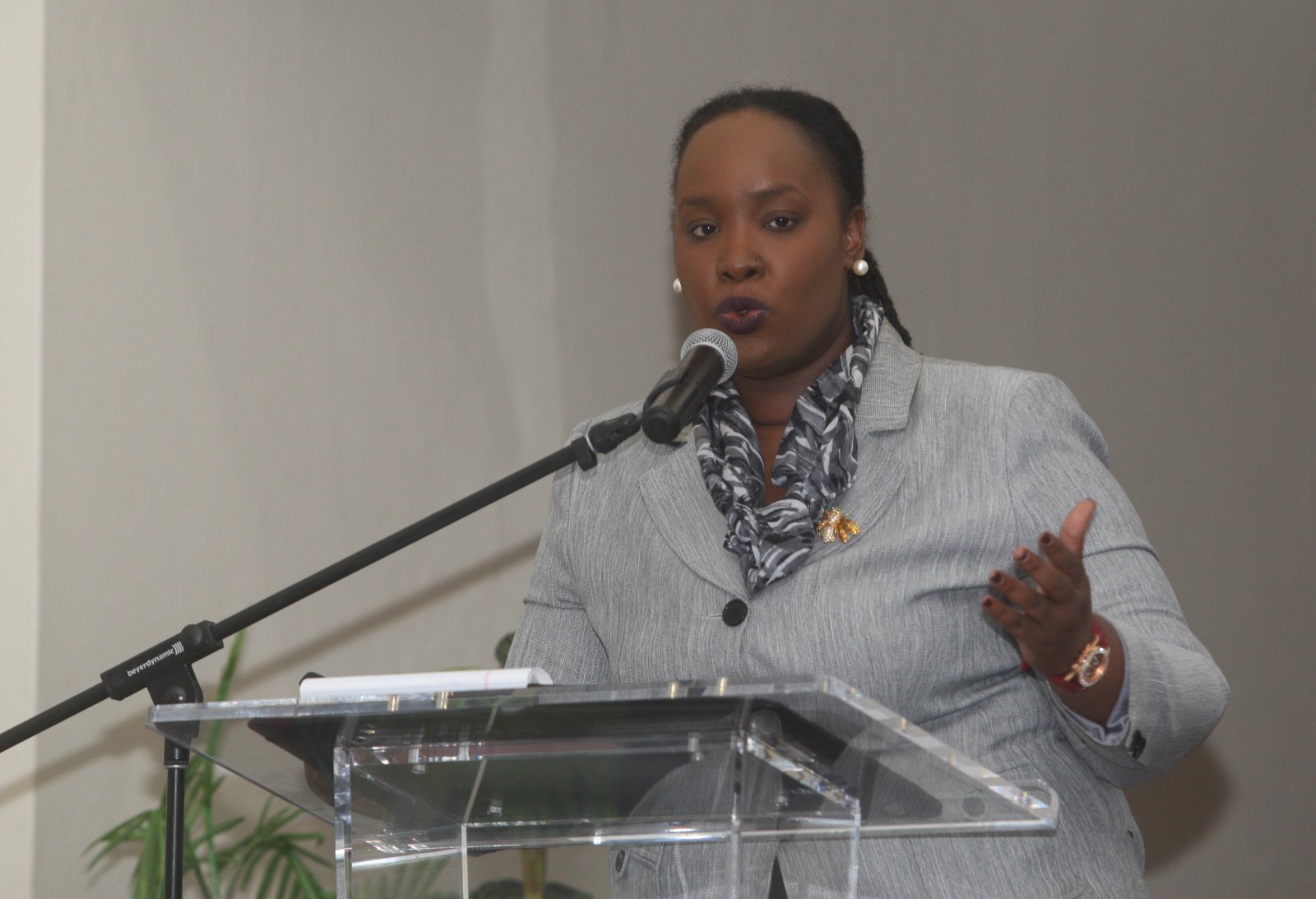 Homeowners hear of provisions under the Economic Empowerment Zones Bill