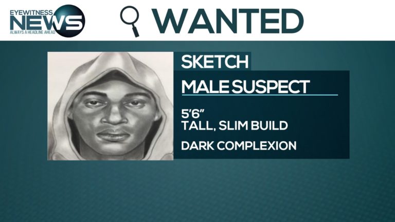 Manhunt underway for alleged armed robbery suspects