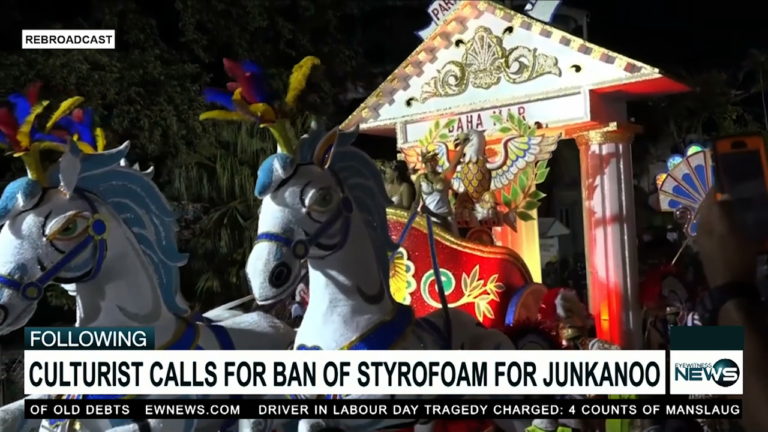 Culturalist calls for ban on styrofoam from Junkanoo