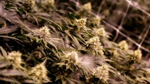 EYEWITNESS NEWS OCTOBER 2 2018