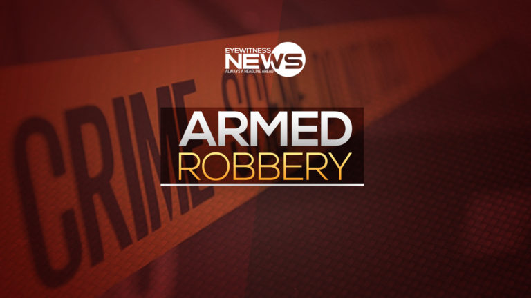 Police searching for armed robbers