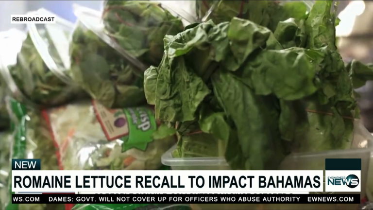 Ministry of Health: Dump romaine lettuce if not grown in your backyard