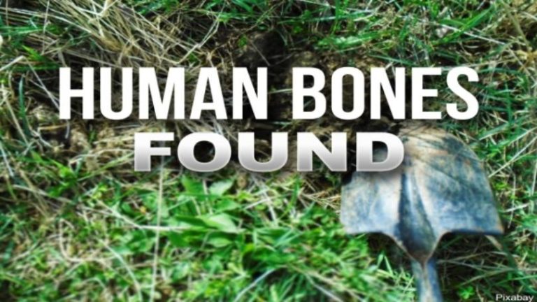 Human skeletal remains discovered