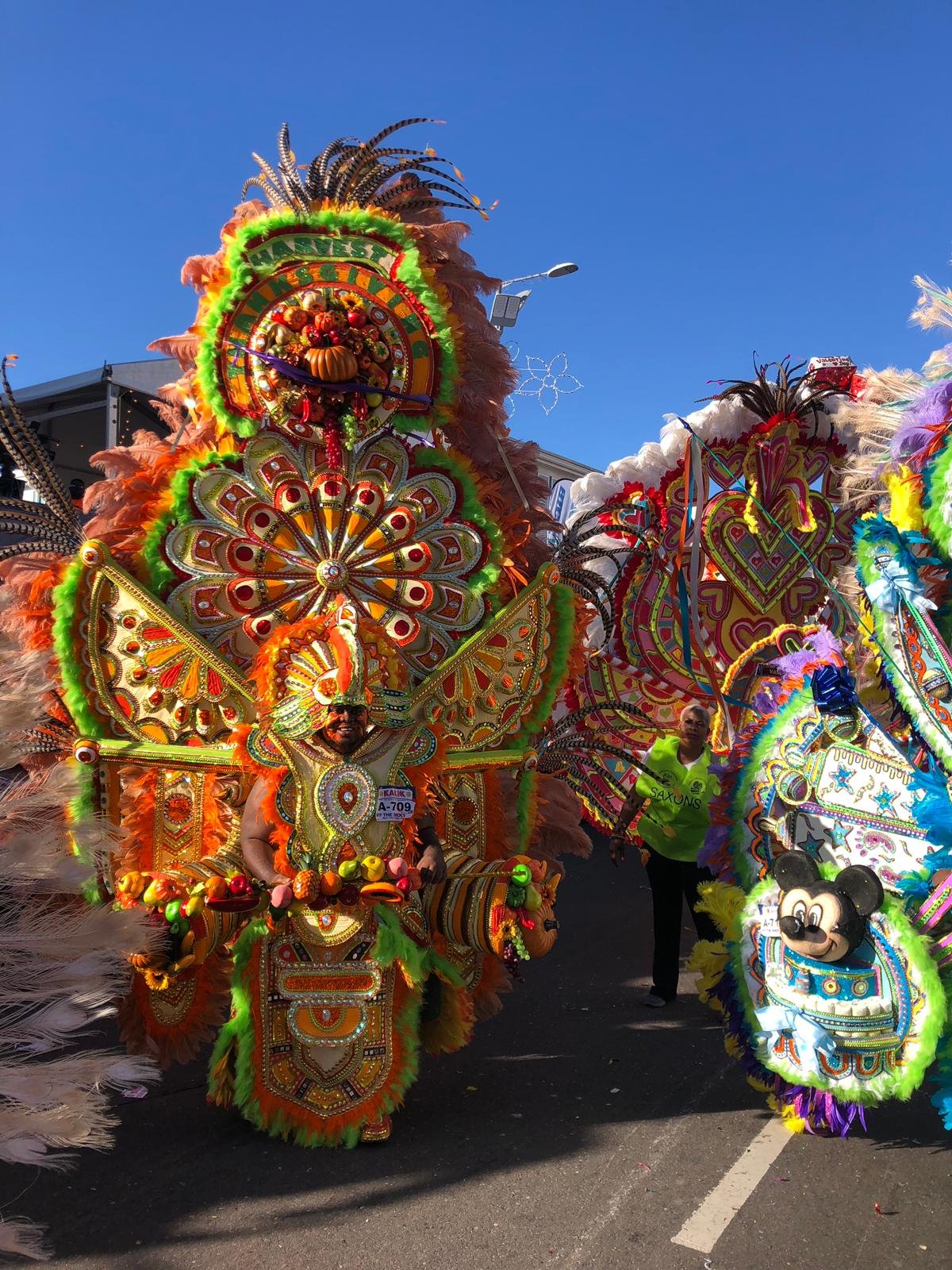 Few arrests made at New Year’s Day parade