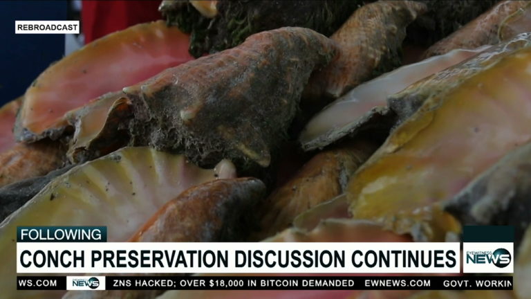 Fisheries officials discuss depleted conch supply with vendor reps