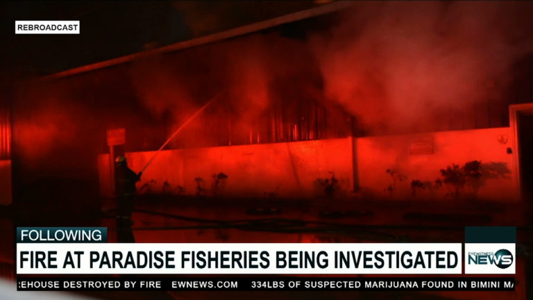 Fire dept. still investigating cause of blaze at Paradise Fisheries
