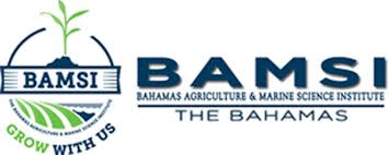 BAMSI hosts trip to North Andros agricultural facility