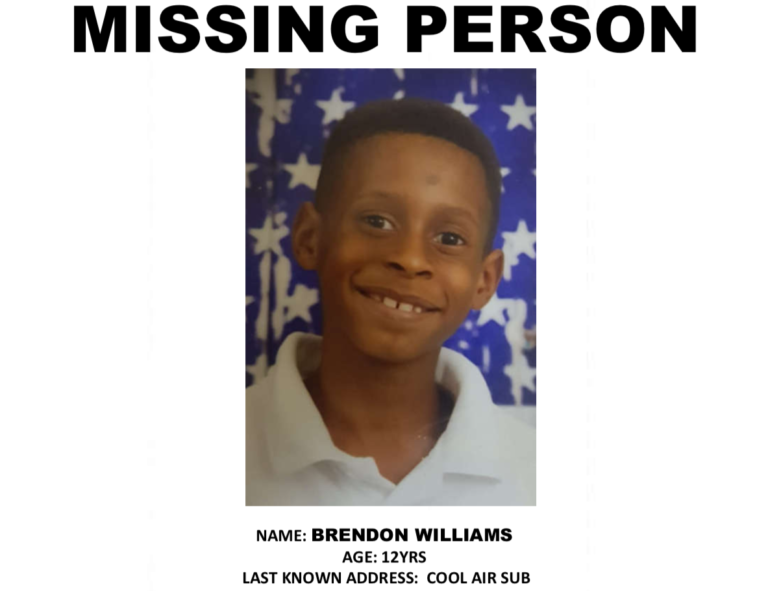 Police search for missing boy