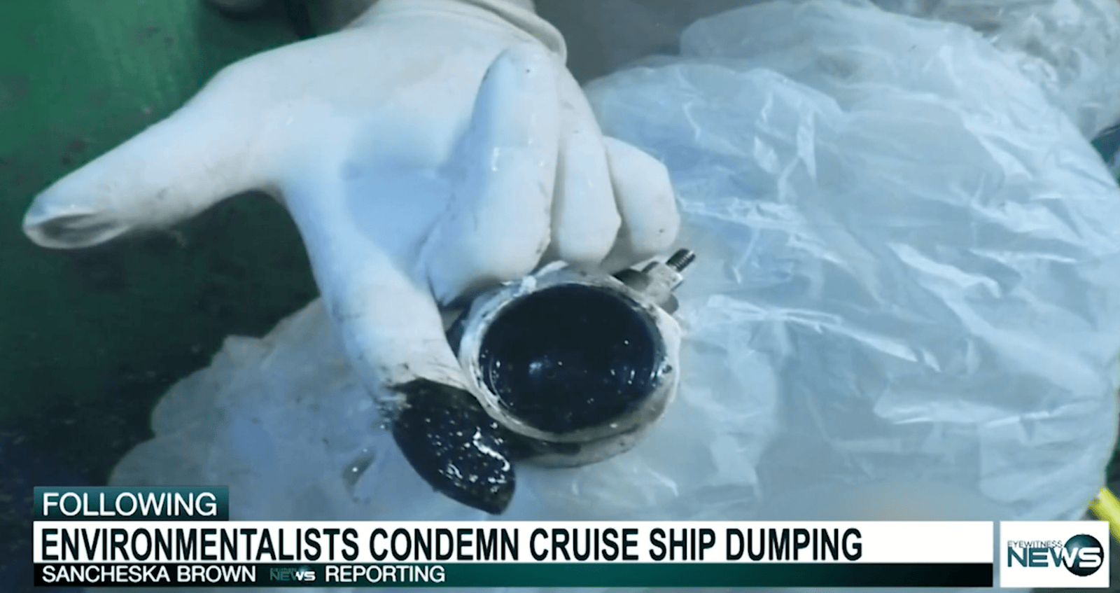 Environmentalists condemn cruise ship dumping