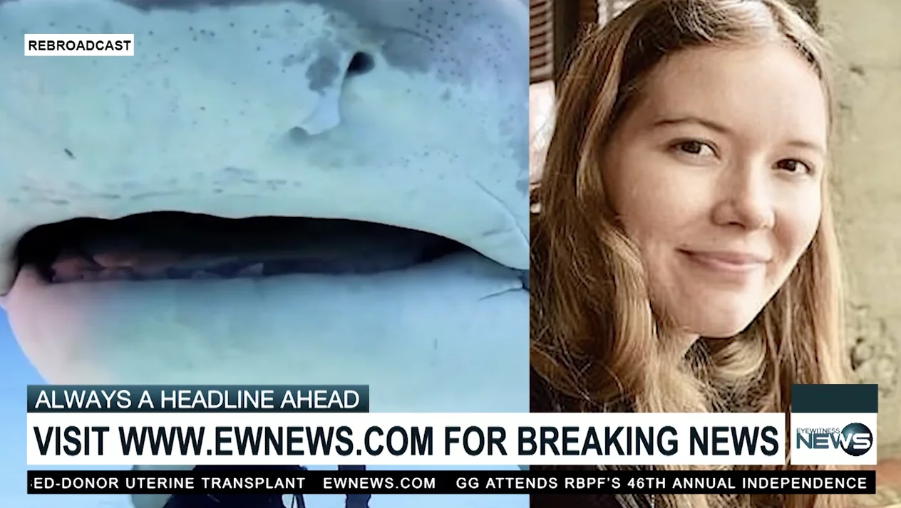 Shark attack research being conducted in The Bahamas