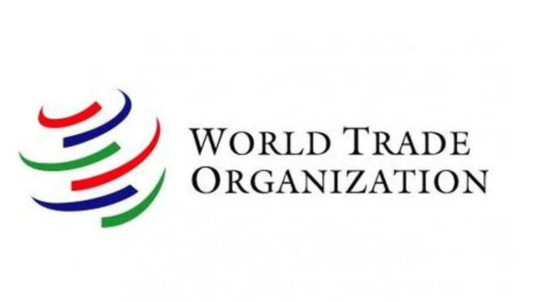 Laing: No WTO accession this term