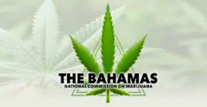 PM tables preliminary marijuana commission report in Parliament