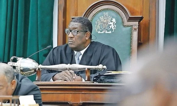 House Speaker: Avoid Parliament, watch on TV