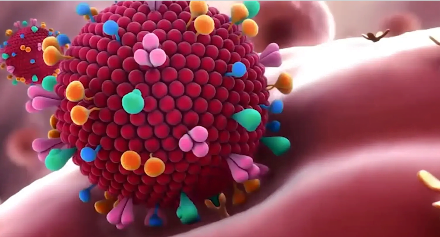 COVID-19 SURGE: NINE CASES OF CORONAVIRUS CONFIRMED