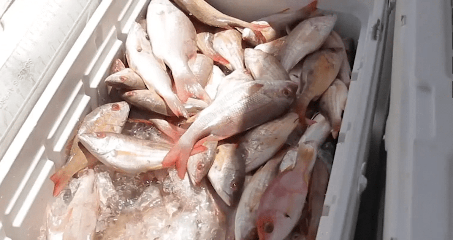 FISHERMEN CALL FOR CLARIFICATION OVER NEW EMERGENCY ORDER