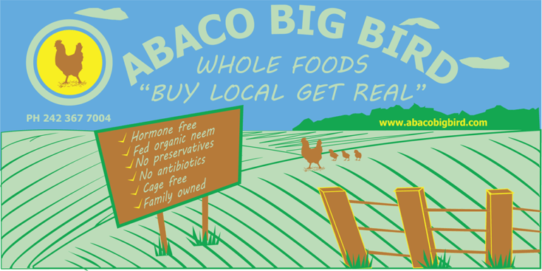 Abaco Big Bird targets August market return