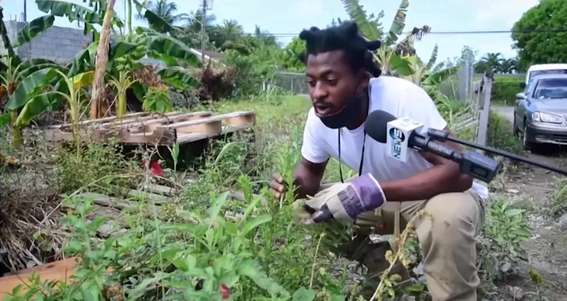 PINEWOOD COMMUNITY FARM