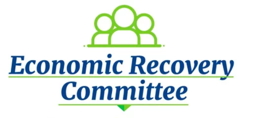 NPI knocks Economic Recovery Committee ‘wasted academic exercise’