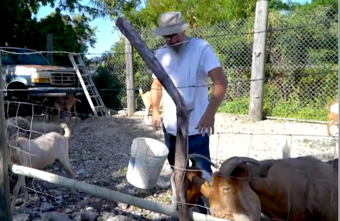 LOCAL FARMER SEEKS HELP TO TREAT LIVESTOCK