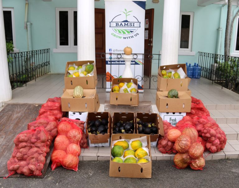 Harnessing the gift of food: BAMSI donates produce to Ranfurly Home