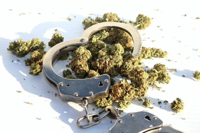 Marijuana commission: expunging records under extensive review