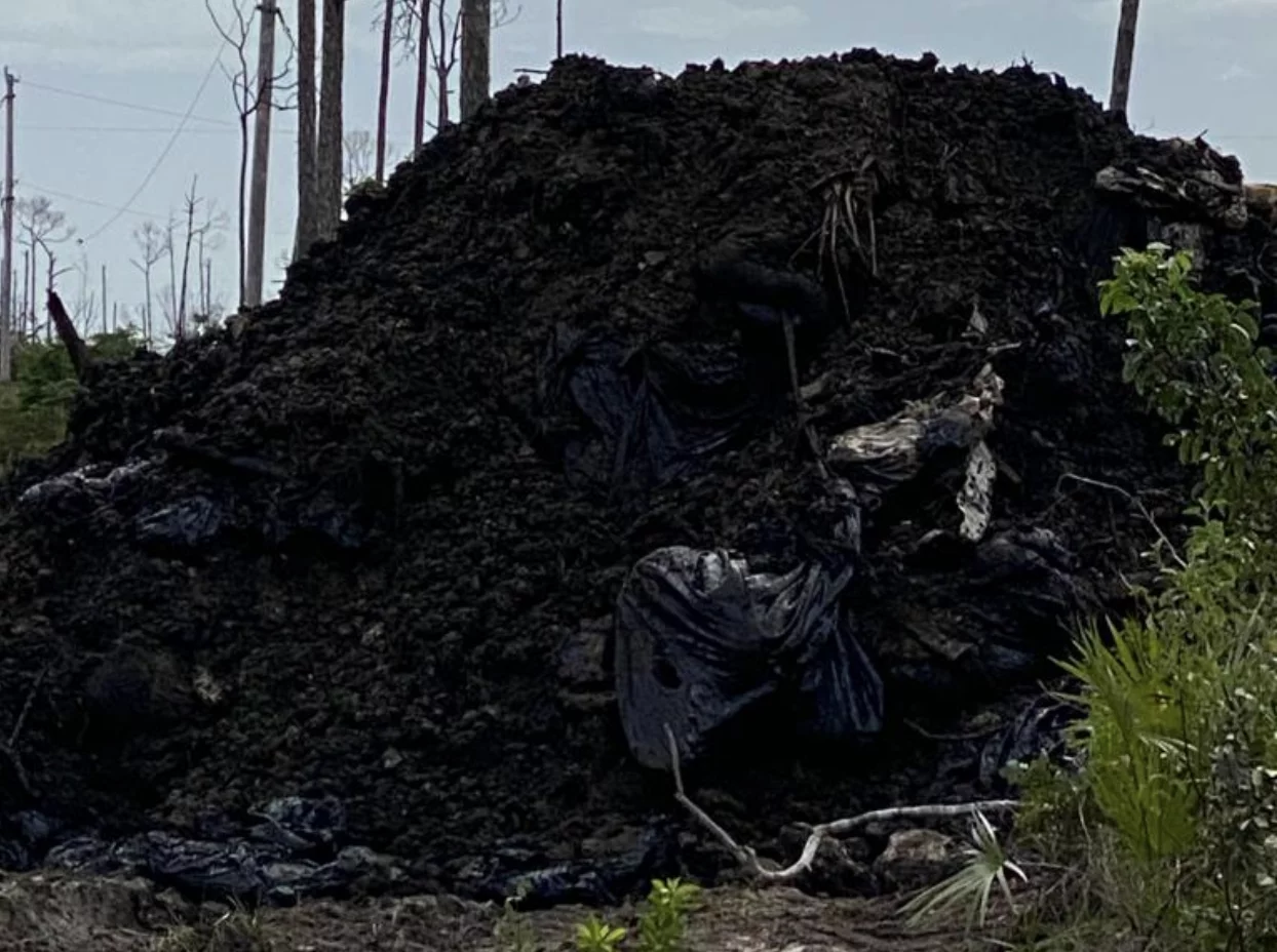 Remediation works on oil dumped in GB ongoing
