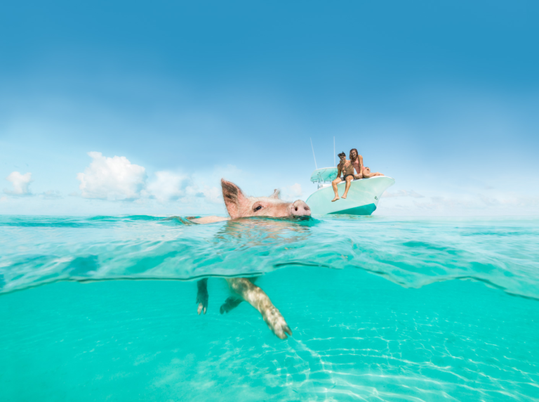 Airbnb and Caribbean Tourism Organization launch campaign to promote tourism to The Bahamas and other Caribbean destinations