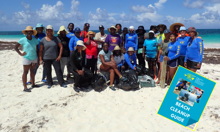 BREEF kicks off World Oceans Day with release of new beach cleanup guide
