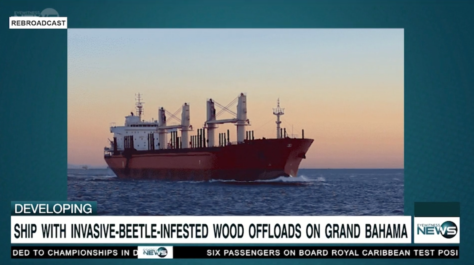 SHIP WITH INVASIVE BEETLE-INFESTED WOOD OFFLOADS ON GRAND BAHAMA