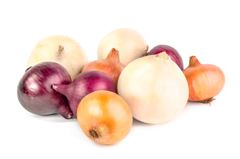 WATCH WHAT YOU’RE EATING: BAHFSA issues cautionary recall of ProSource onions from Mexico