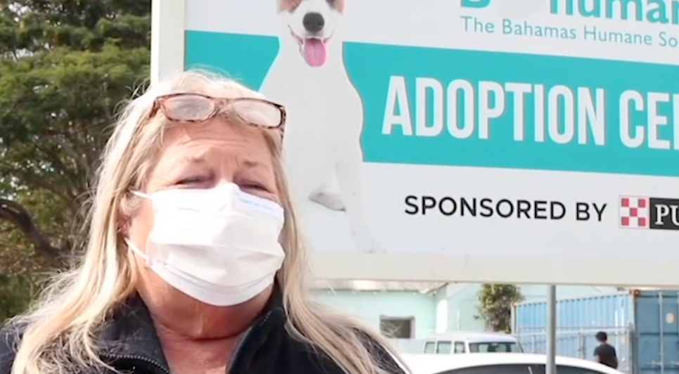 OWNERS TO FACE SERIOUS CHARGES AFTER VICIOUS PITBULL ATTACK