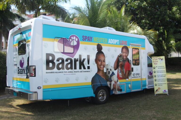 BAARK set to receive grant funding from the government