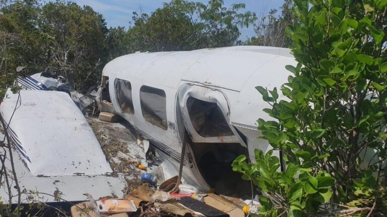 Woman dies in Long Island plane crash