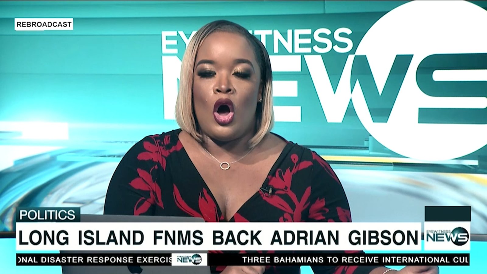 NONSENSICAL: Loretta Butler-Turner denies accusations she spearheaded petition calling for MP Adrian Gibson to resign