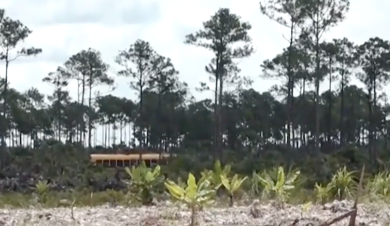 CROWN LAND DEADLINE UP