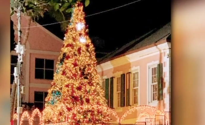 NATIONAL CHRISTMAS TREE LIGHTS UP BAY STREET