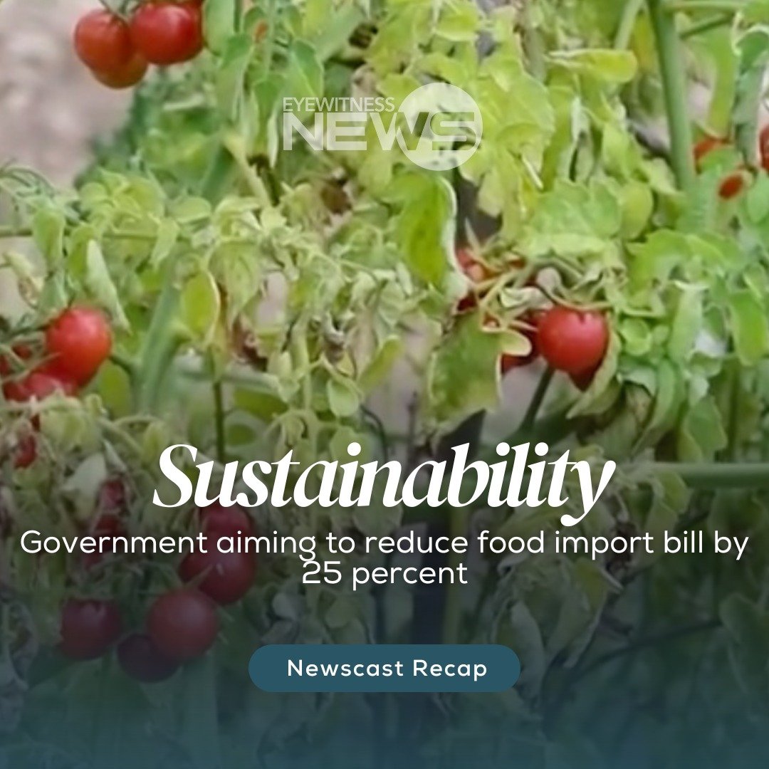 BNSI to host series of CARICOM meetings