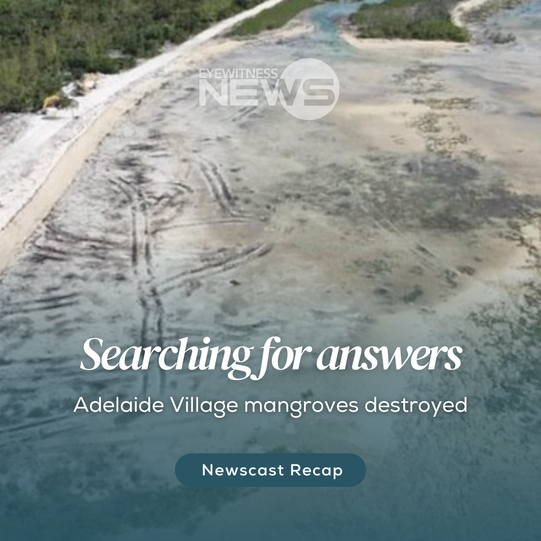 Adelaide Village mangroves destroyed