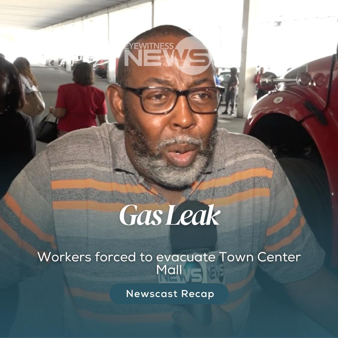 ADVENTURES WITH LAURENCIA: Touring the island with Chippie’s cultural transportation