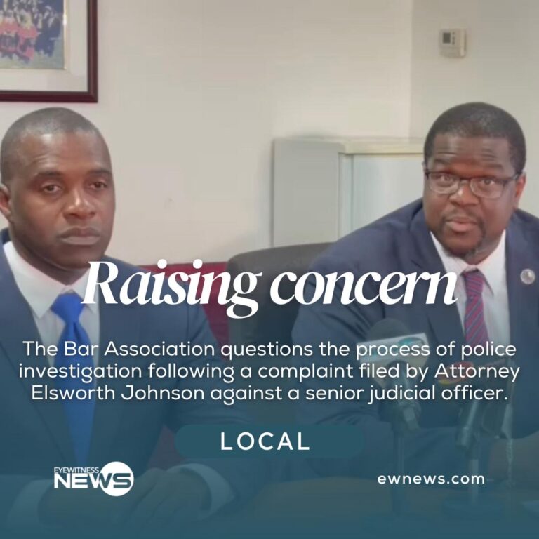 Bar Association critical of police’s handling of former Cabinet minister’s complaint against senior judicial officer