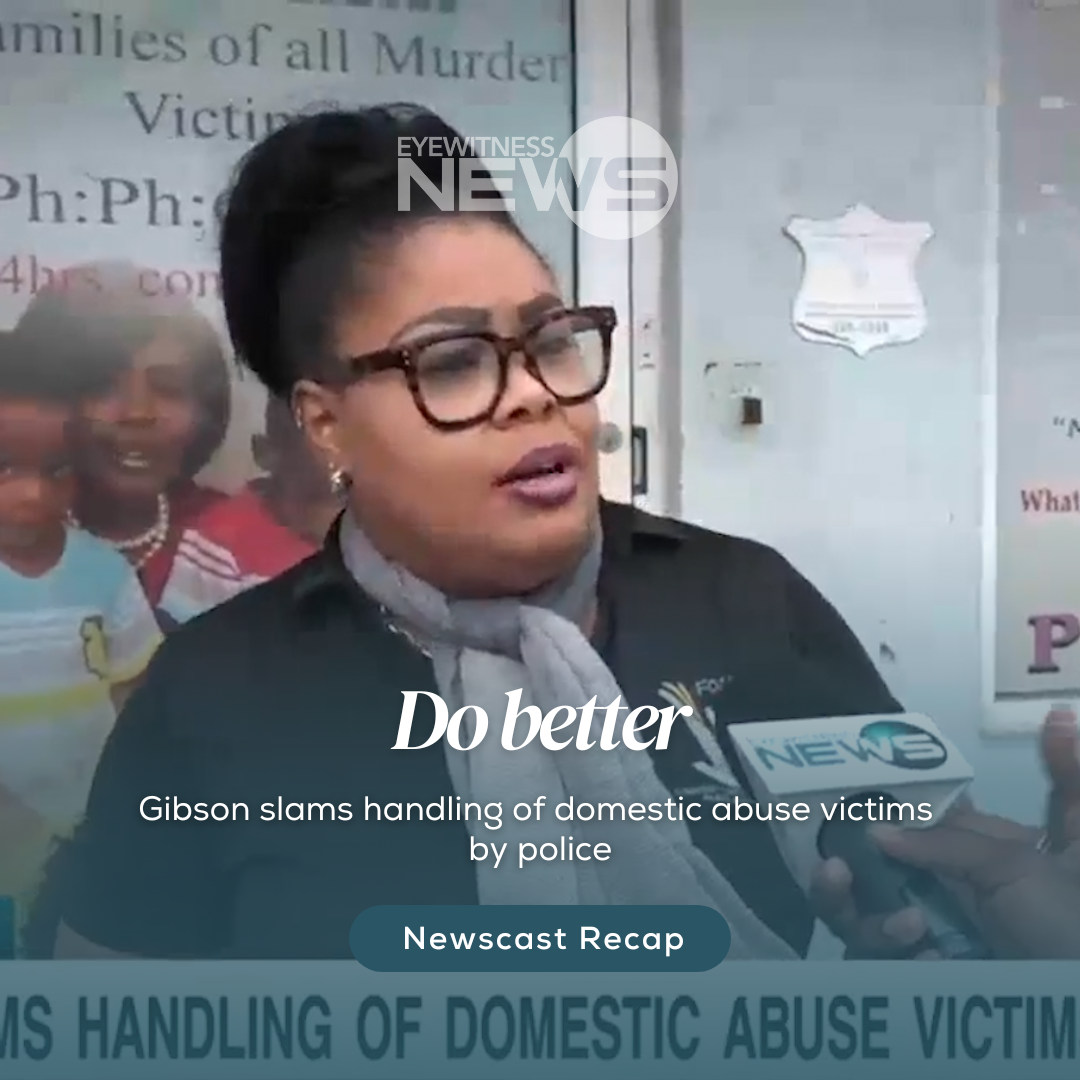 Gibson slams handling of domestic abuse victims by police