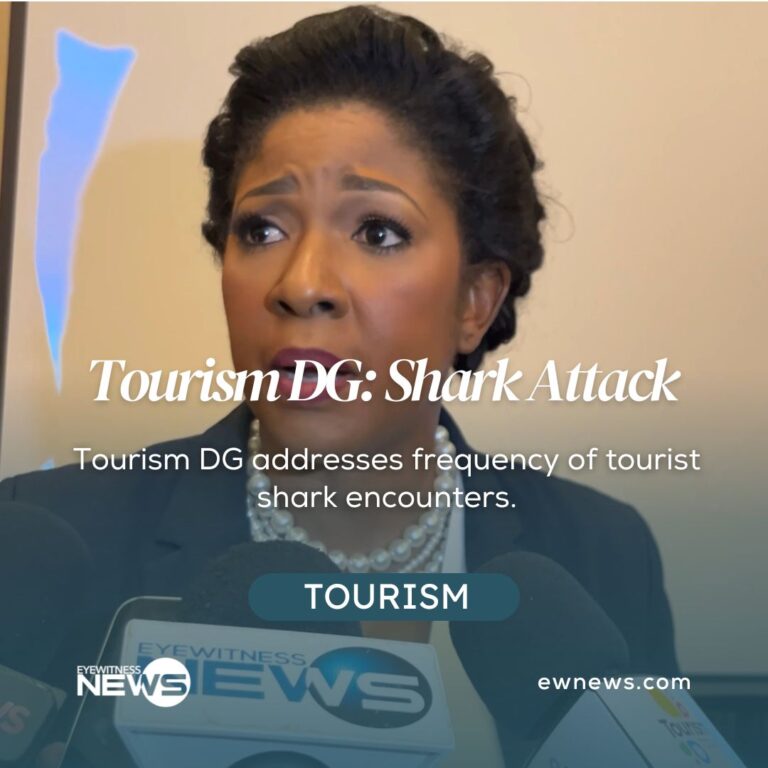 Tourism DG addresses frequency of shark encounters by tourists