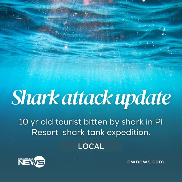 SHARK ATTACK UPDATE: 10-year-old bitten during shark tank expedition at P.I. resort