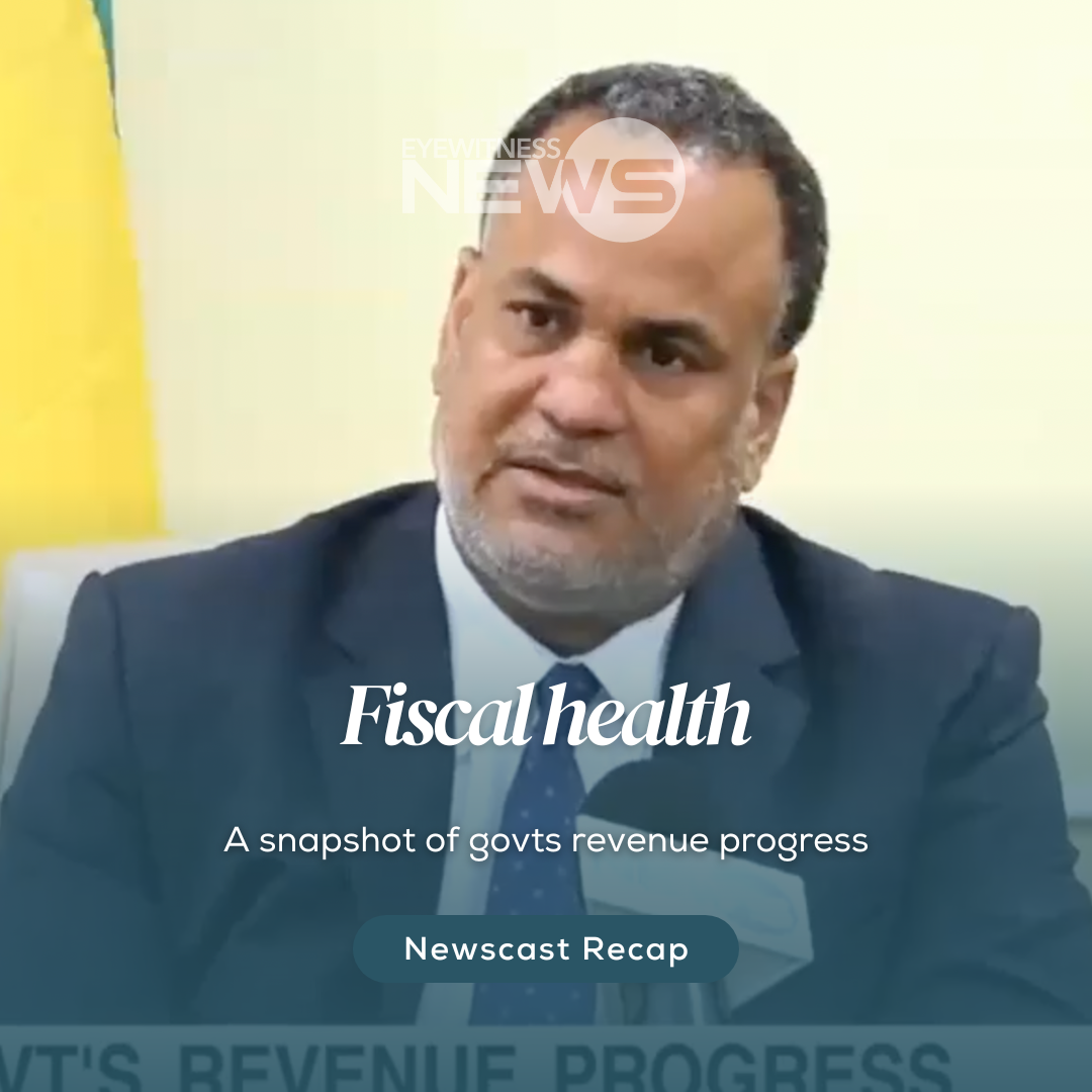A snapshot of govt’s revenue progress