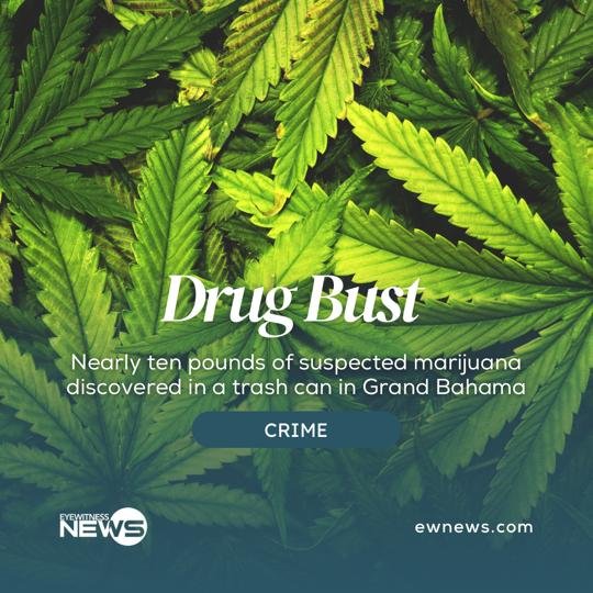 Nearly ten punds of marijuana discovered in a trash can in Grand Bahama