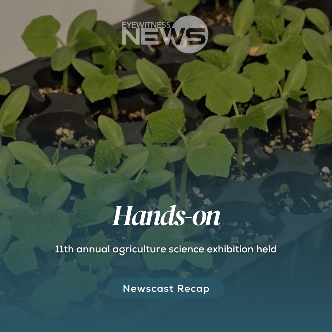 11th annual agriculture science exhibition held